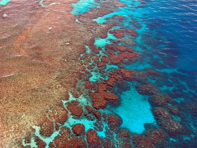 Duiken Great Barrier Reef