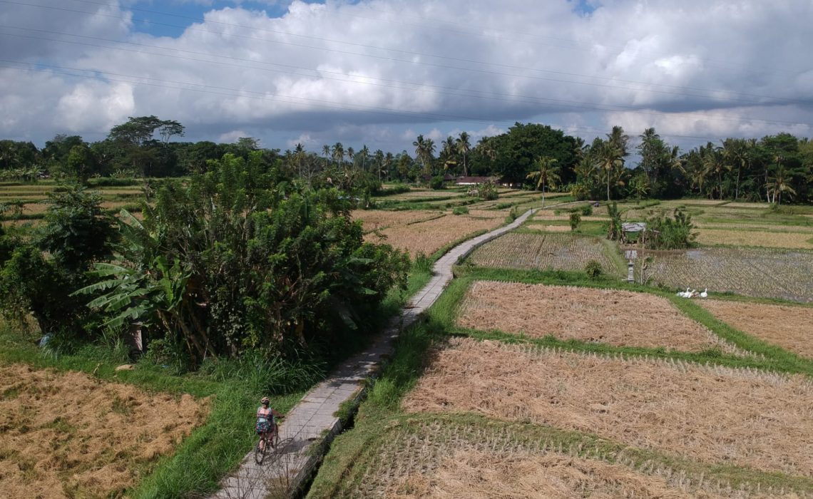 fietsen door de rijstvelden in Bali
